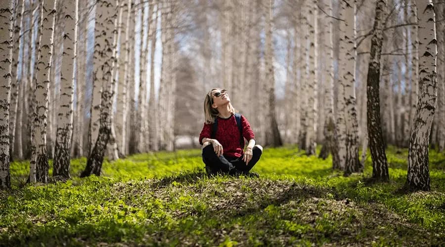 Garantie et assurance